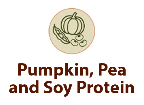 Pumpkin, Pea and Soy Protein
